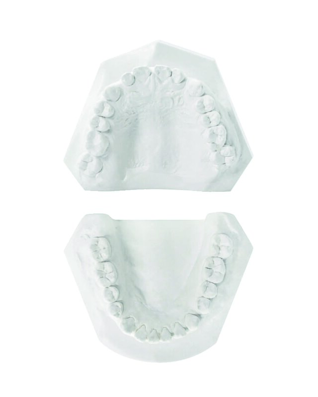 Plâtre Gibraltar Ortho Type III HENRY SCHEIN - Le carton de 25 kg