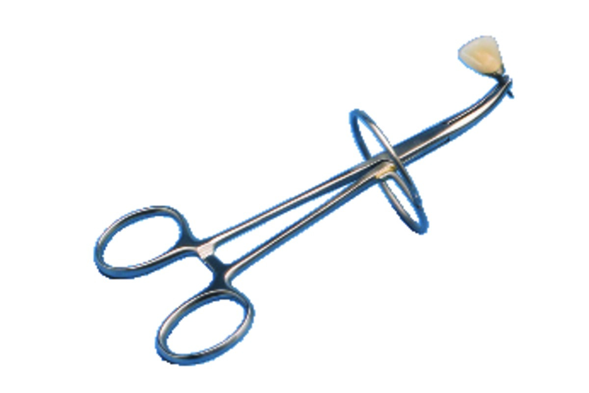 Pinces MESTRA Droite - La pince droite