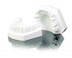 Plâtre SHERABIANCO dur orthodontic blanc neige SHERA - Le carton de 20 kg